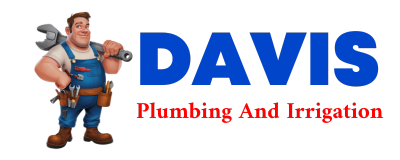 Trusted plumber in LAMONI